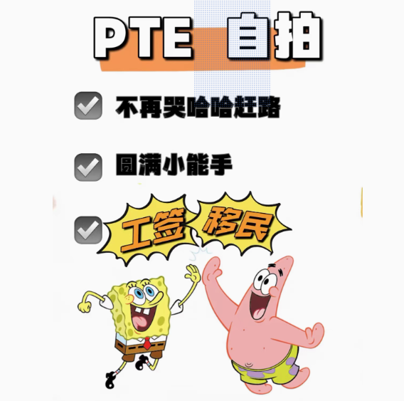 语言种类